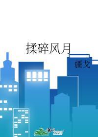 揉碎风月疆戈讲的什么