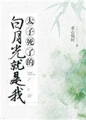 太子死了的白月光是我结局