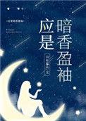应是暗香盈袖结局是什么