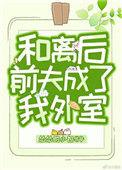和离之后前夫成了我的外室