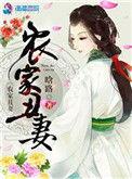 农家丑妻简介