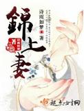 锦上妻 诗雨如梦