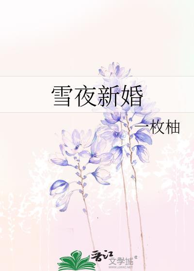雪夜新婚免费阅读全文