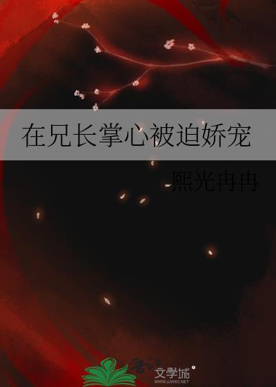 兄长在上无防盗章节