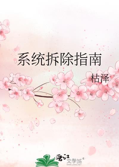 系统拆除指南枯泽全文免费