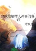 穿成植物人冲喜的寡妇小妻免费阅读