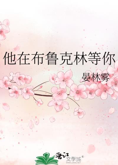 他布鲁克林等你TXT