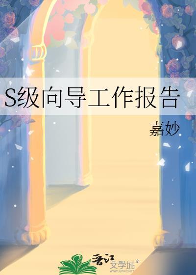 s级向导工作报告晋江