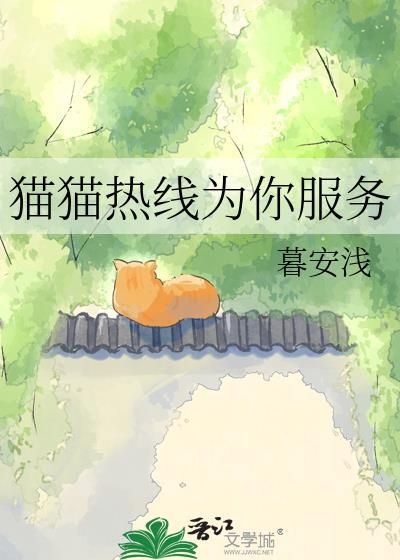 猫咪专家在线咨询