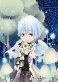 星辰花什么时候开花