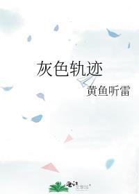 灰色轨迹什么意思