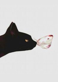 人间好时节一棠