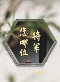 将军你找了什么工作