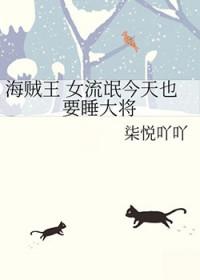 海贼王女人