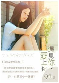遇见你爱上你全文阅读