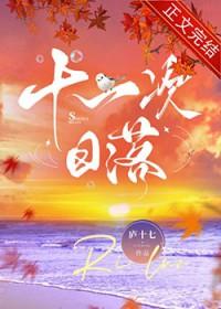 十一次日落TXT
