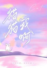 猫猫我啊by阿阮有酒讲的什么