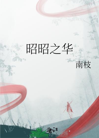 昭昭之华南枝txt百度资源