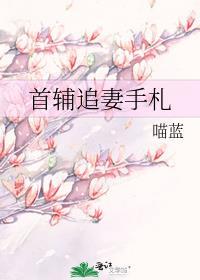 首辅夫人追夫手札