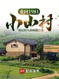 重回1981小山村讲的什么