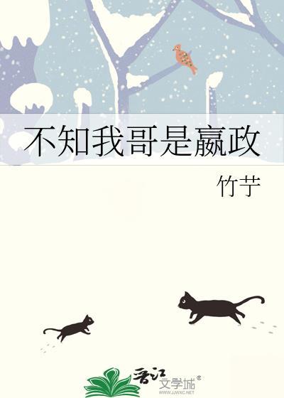 不知我哥是嬴政晋江