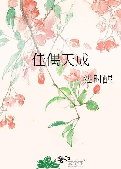 佳偶天成琴瑟和鸣什么意思