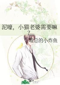 猫喊老婆表情包