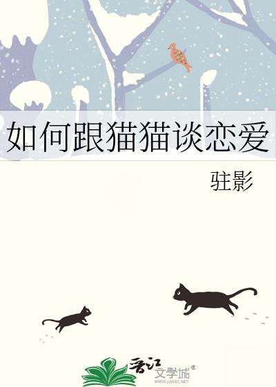 如何跟猫猫搞好关系