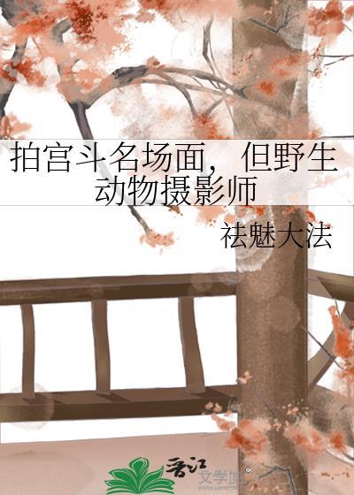 什么叫野生动物摄影师