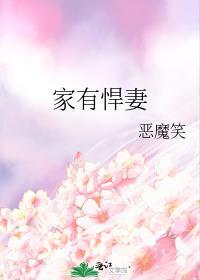 家有悍妻钱朵朵沈北轩