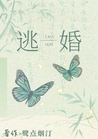 逃婚之后全文免费阅读无弹窗