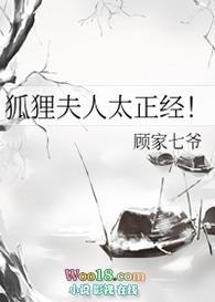 狐狸夫人太正经txt