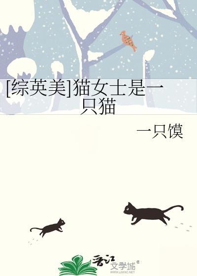 猫女讲的是什么