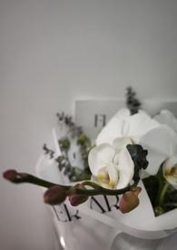 我的未婚妻居然是主角?