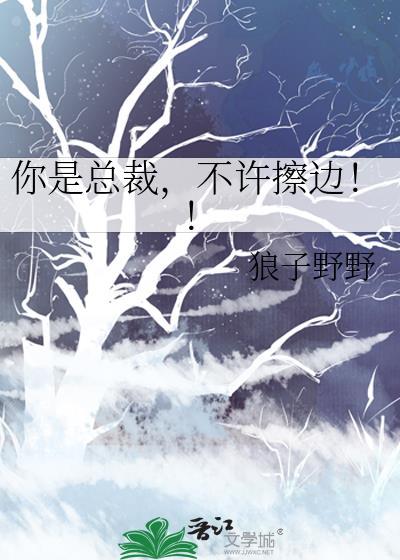 你是总裁不许擦边 狼子野野免费阅读