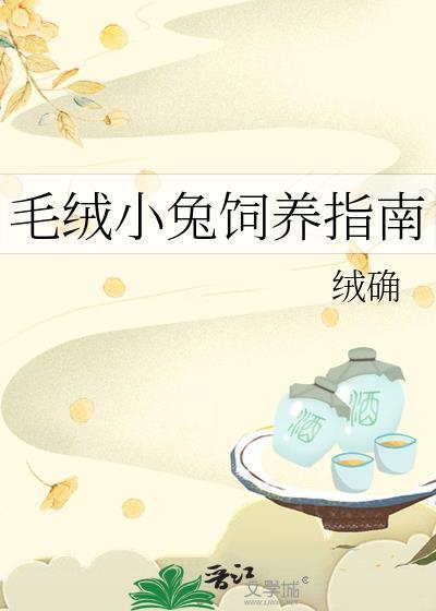毛绒小兔饲养指南TXT百度