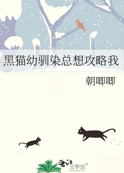 驯服黑猫