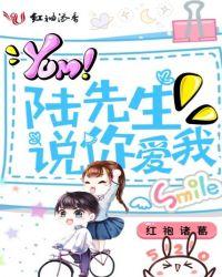 陆先生听说你喜欢我全文免费阅读答案