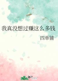 我真没想过赚这么多钱免费阅读