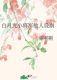将军的白月光
