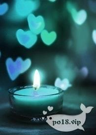 剧本的世界(np)600章