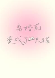 离婚后我变成了前妻全集