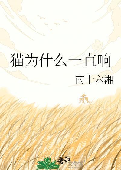 猫咪为啥一直在叫