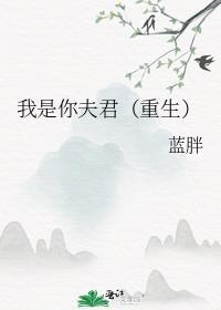 我是你夫君电视剧