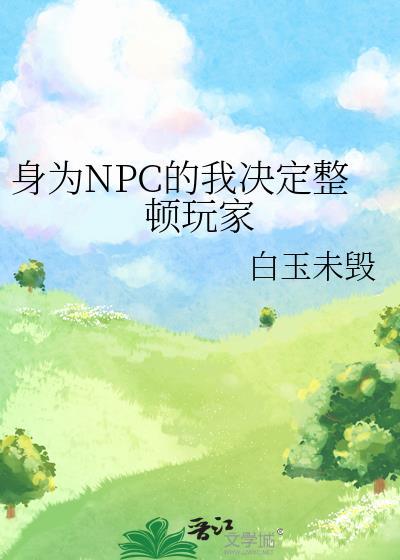 身为npc的我决定整顿玩家TXT