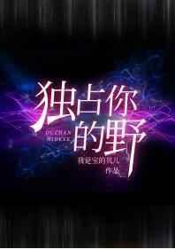 独占你的野无防盗