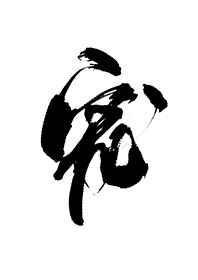 白月光失忆后成了我影卫52