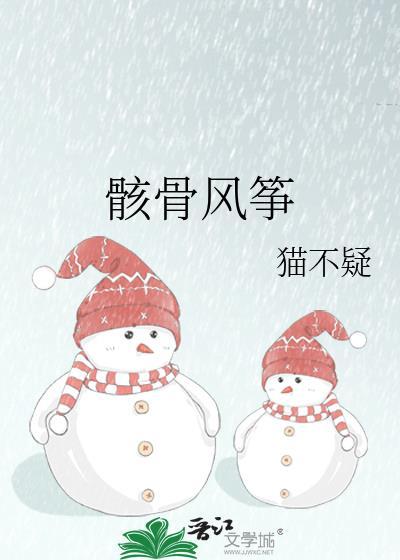 各种风筝骨架