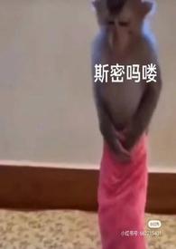 泡芙小姐小智结局