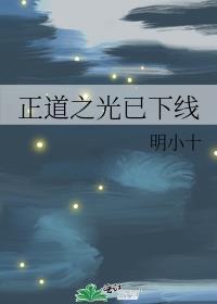 正道之光已下线晋江